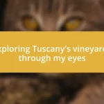 Exploring Tuscany’s vineyards through my eyes