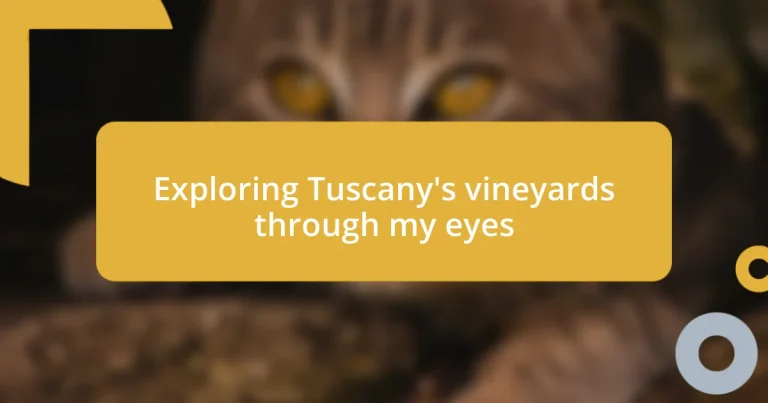 Exploring Tuscany’s vineyards through my eyes