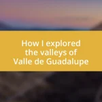 How I explored the valleys of Valle de Guadalupe