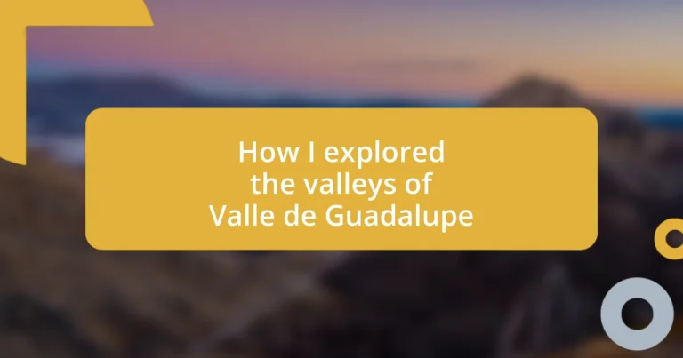 How I explored the valleys of Valle de Guadalupe