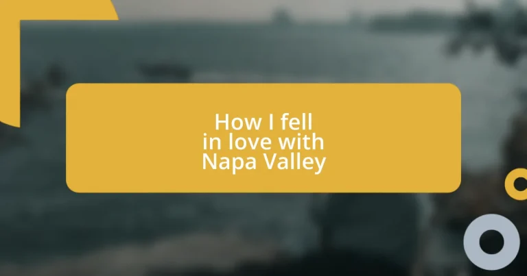 How I fell in love with Napa Valley