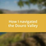 How I navigated the Douro Valley