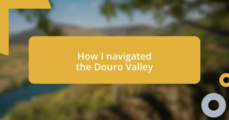 How I navigated the Douro Valley