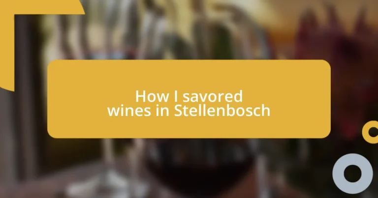 How I savored wines in Stellenbosch