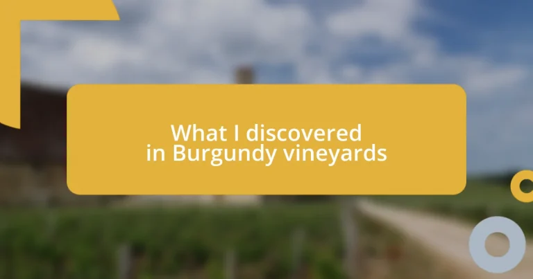 What I discovered in Burgundy vineyards